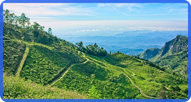집사는방법 핵심 비법과 실전 전략