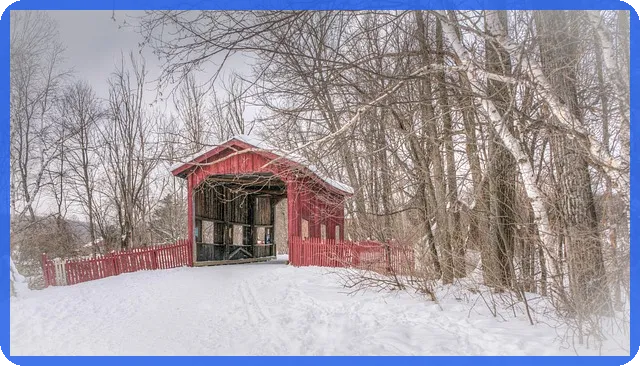 콜옵션 손실 최소화 전략 알아두어야 할 5가지