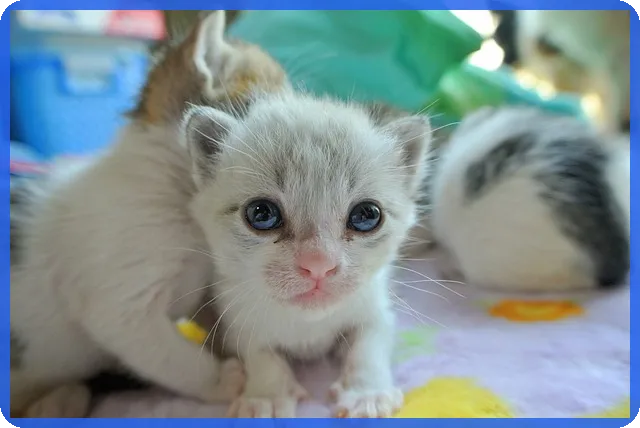 한부모공제 적용 조건 및 중복 가능 여부 완전 정리