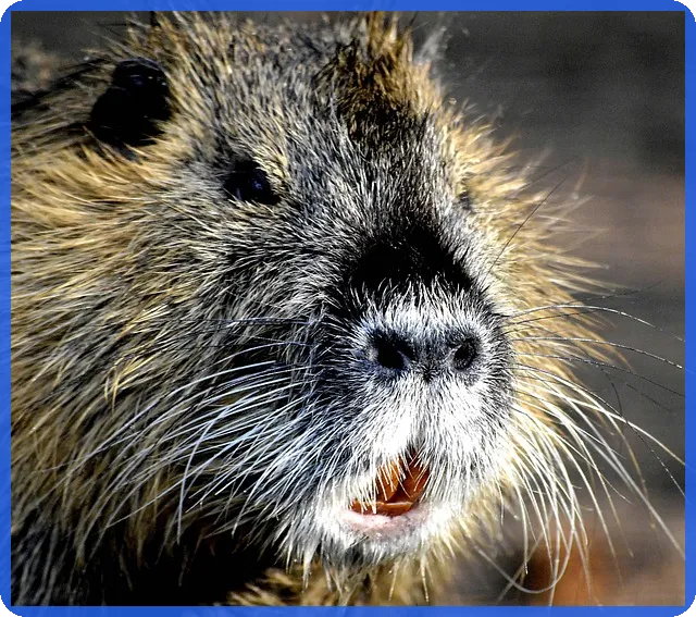 한부모공제 적용 조건 및 중복 가능 여부 완전 정리