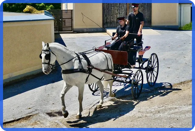 휴맥스주가 전망과 영향 요인 분석