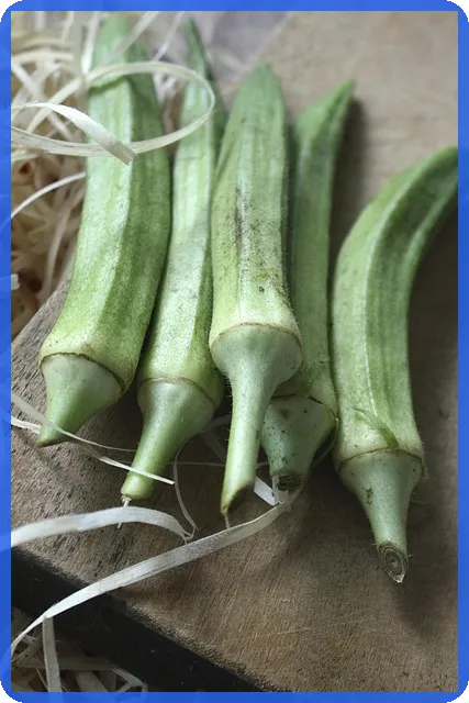 대출 금리 계산법 이해하기로 금융이해력 향상시키기