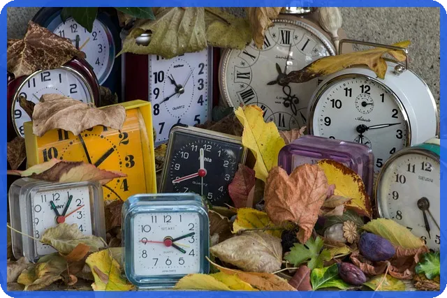 대출계산기 이자 계산법으로 정확한 상환 예측하기