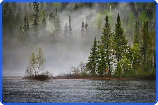대출계산기 이자 계산법으로 정확한 상환 예측하기