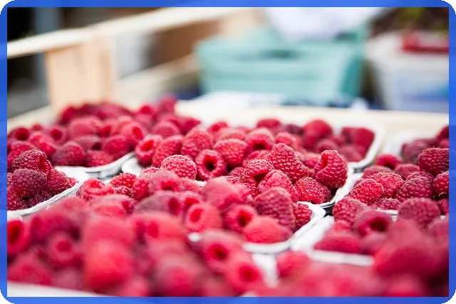 대출계산기 이자 계산법으로 정확한 상환 예측하기