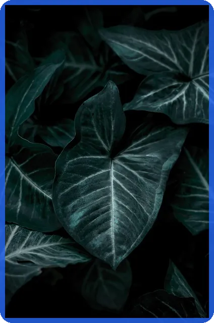 대출나라 개인돈 안전하게 이용하는 방법은 무엇일까