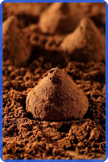 대출나라 개인돈 안전하게 이용하는 방법은 무엇일까