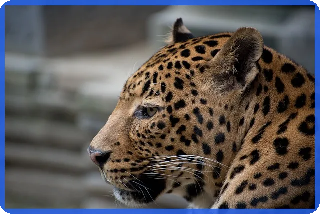 대출나라 개인돈 안전하게 이용하는 방법은 무엇일까