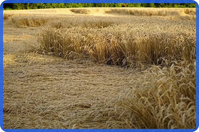 대출나라 개인돈 안전하게 이용하는 방법은 무엇일까