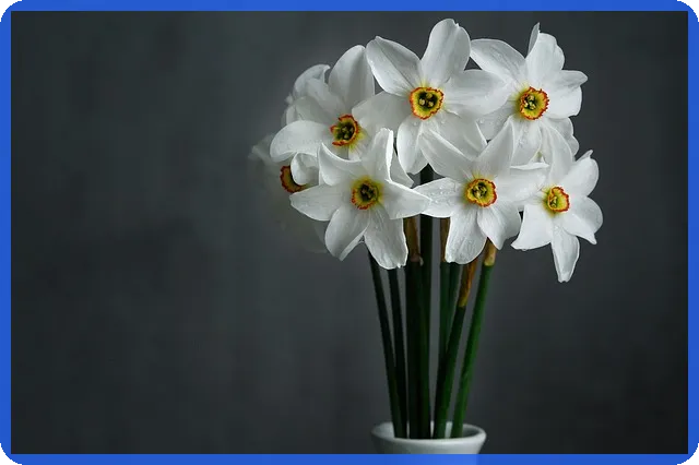 대출나와 사용법으로 안전한 개인돈 대출 받기