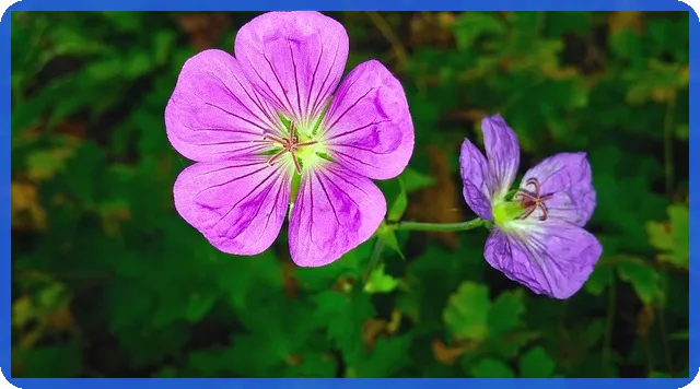 대출나와 사용법으로 안전한 개인돈 대출 받기