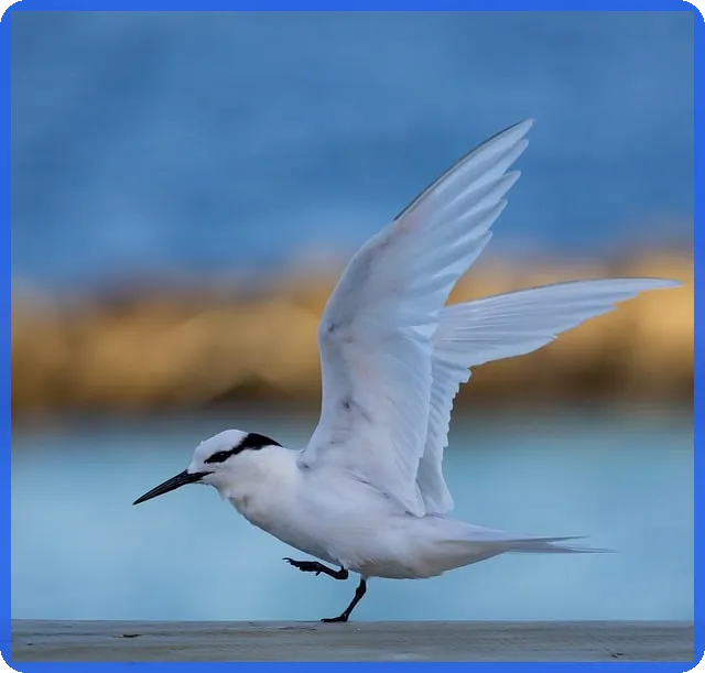 대출이자 계정과목 처리방법으로 법인 회계효과 극대화하기
