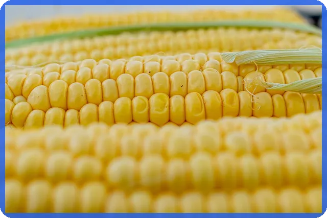 대환대출 플랫폼으로 대출 이자 절감하는 방법은 무엇인가