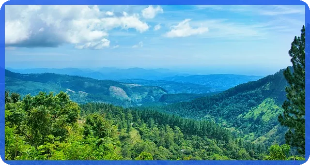 말소기준권리 이해와 경매 성공 핵심 전략