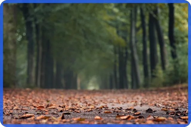 무직자 대출 가능한곳은 어디일까 궁금증 해결