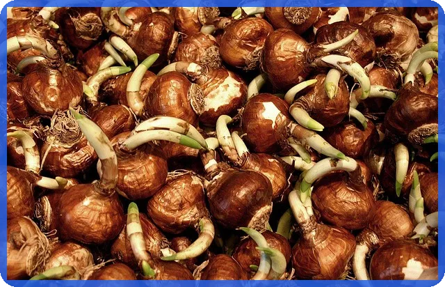 부동산공제증서 효력과 보상범위 이해하기