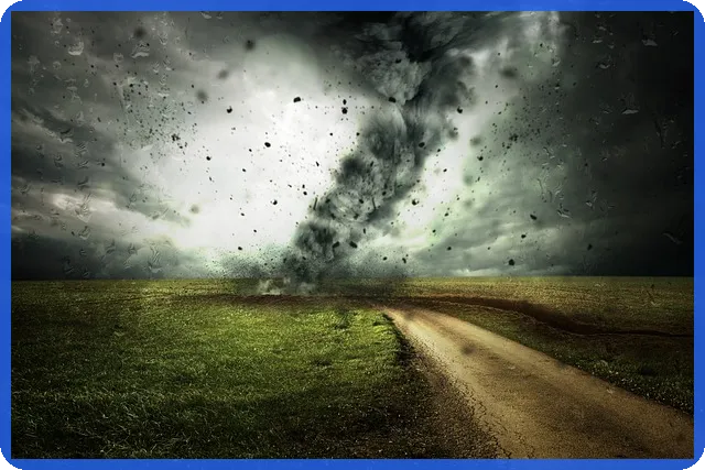 부동산공제증서 효력과 보상범위 이해하기