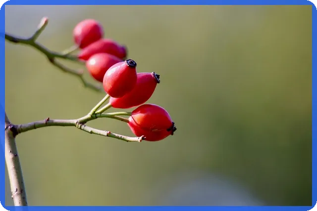 부산아파트경매 가성비 최고의 매물 추천