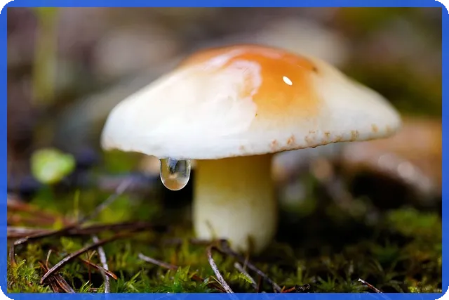 산업은행 역할과 미래 방향에 대한 모든 것