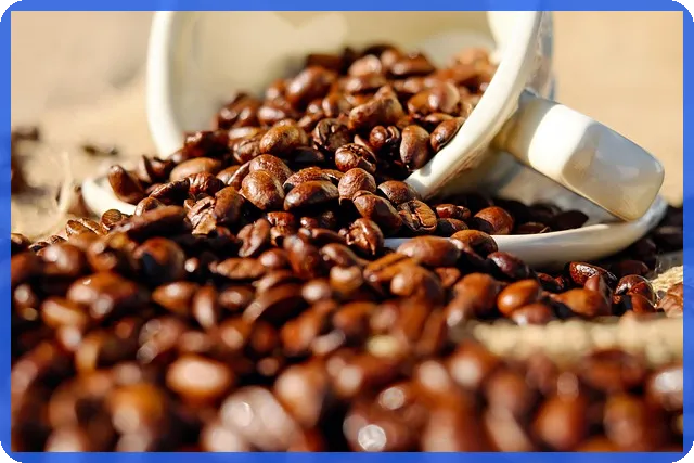 시스웍주가 전망 분석과 투자 전략