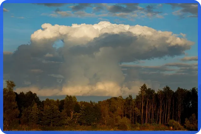 신혼부부 전세자금대출 완전정복 2024 하반기 가이드