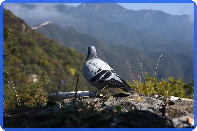 신혼부부 전세자금대출 완전정복 2024 하반기 가이드