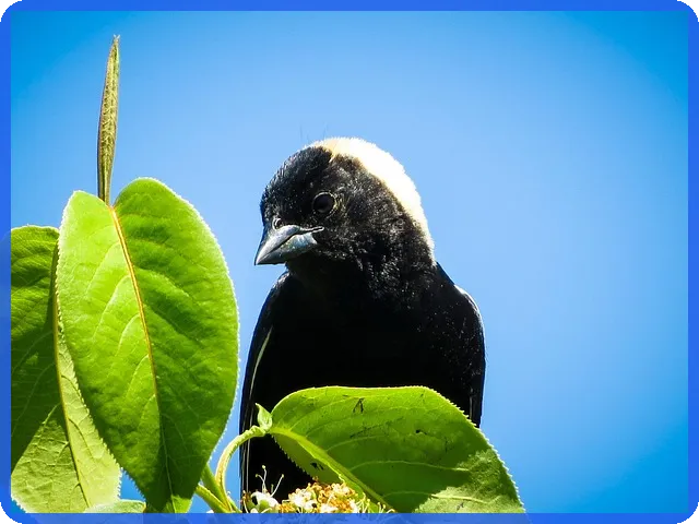 알에프텍주가 실시간 확인 방법과 최신 동향 공개