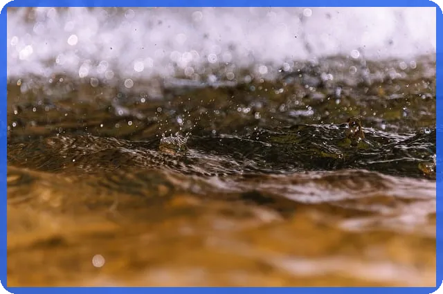 엔젤투자가 스타트업 성공에 중요한 이유는 무엇일까