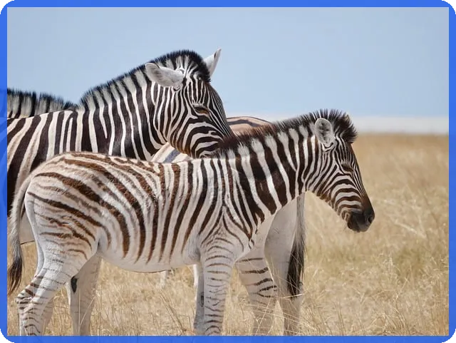 엔젤투자가 스타트업 성공에 중요한 이유는 무엇일까