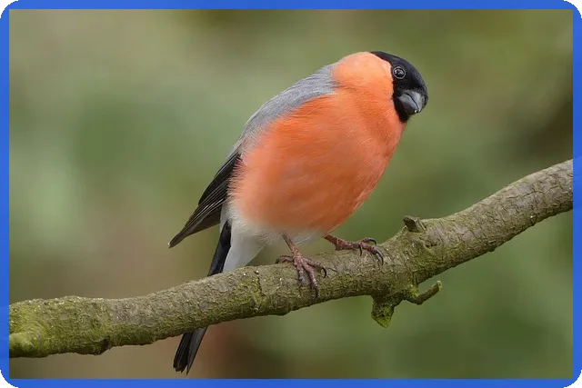 은행 대출금리비교 사이트로 최고의 금리 찾기