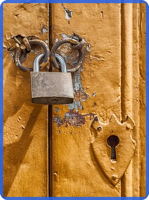 일신바이오주가 전망 핵심 분석과 투자전략