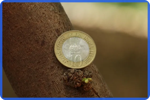 저신용 소액대출 500만원 신청 방법과 최적 상품 안내