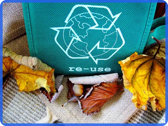 2025 청년전세대출조건과 혜택 한도 비교분석