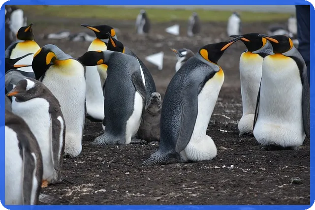 전세자금대출 금리인하요구권으로 이자 절감하는 방법은?