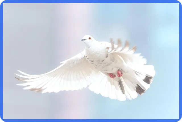 전세자금대출 금리인하요구권으로 이자 절감하는 방법은?