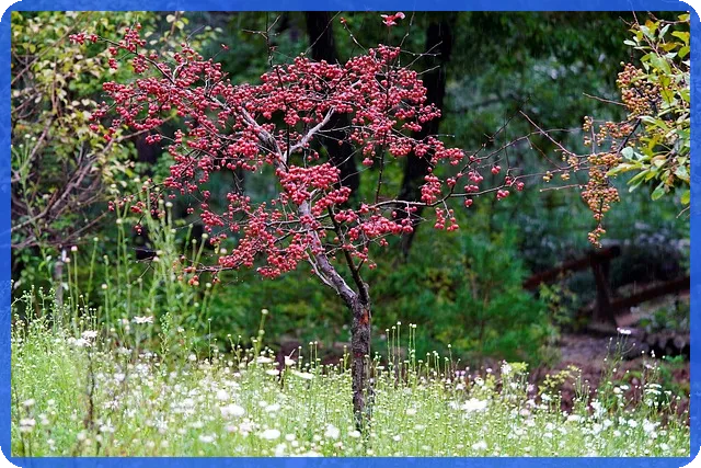 2025년 주식드라마 투자 전략과 글로벌 OTT 성장