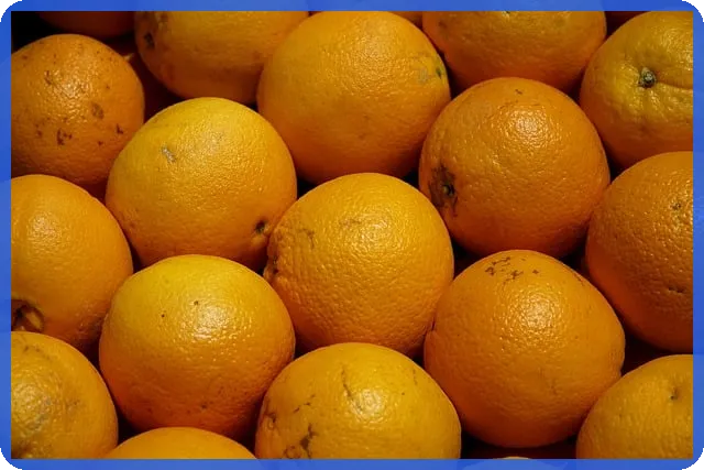 주택담보대출 금리비교 사이트로 최적의 조건 찾기