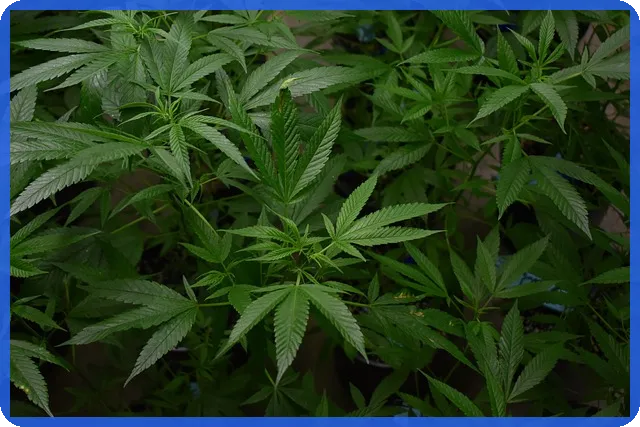 중증환자등록으로 의료비 부담 낮추기