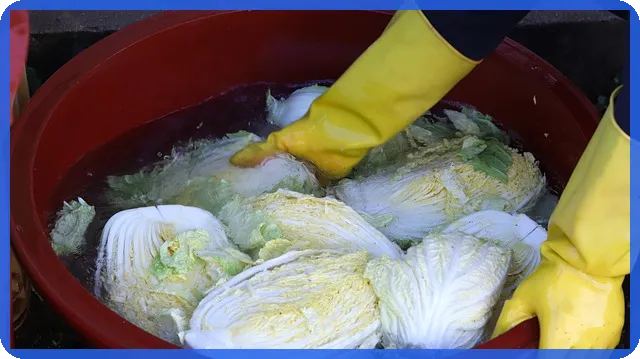 지상권주택 만기 후 재계약과 묵시적 계약 이해하기