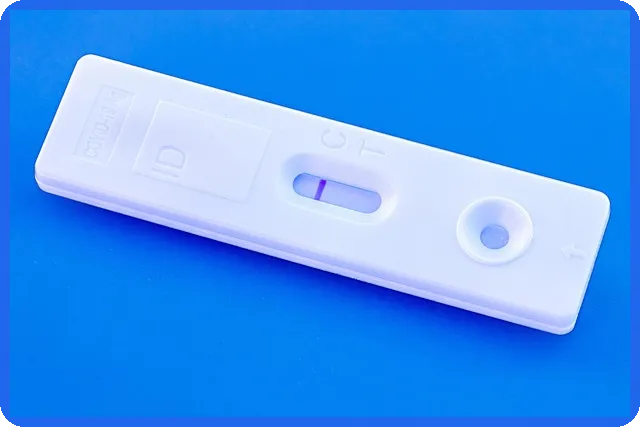 진도주가 상승 원인과 전망 분석