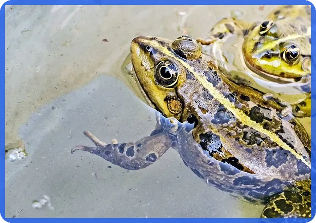 청년전세대출 조건과 한도 최저금리 혜택은?