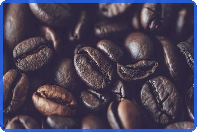 청년전세대출 조건과 한도 최저금리 혜택은?