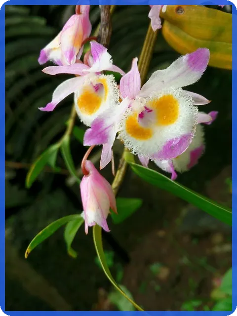 퓨쳐셀프 알라딘 책으로 미래 자기계발 시작하기