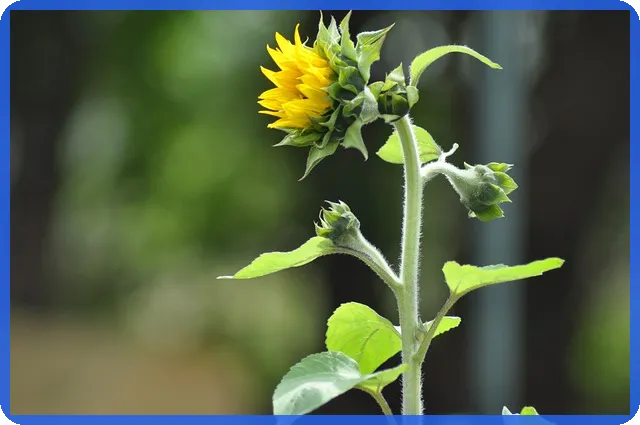 퓨쳐셀프 알라딘 책으로 미래 자기계발 시작하기
