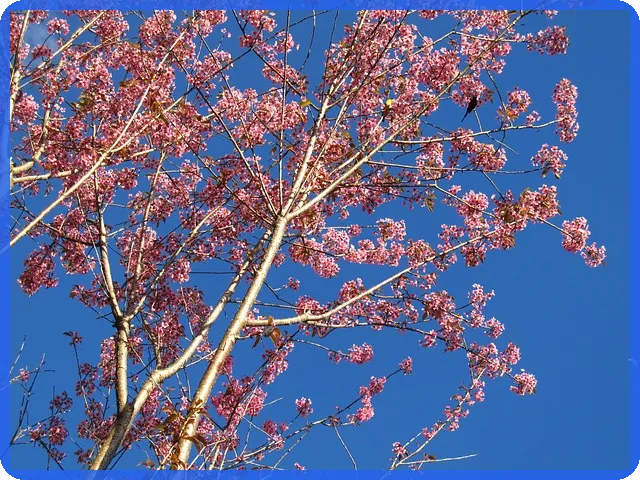 퓨쳐셀프 알라딘 책으로 미래 자기계발 시작하기