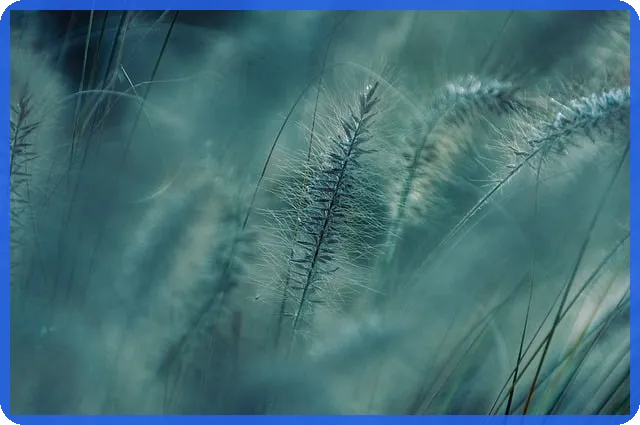 퓨쳐셀프 알라딘 책으로 미래 자기계발 시작하기