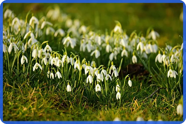 3억 대출 이자 얼마일까? 계산해보자