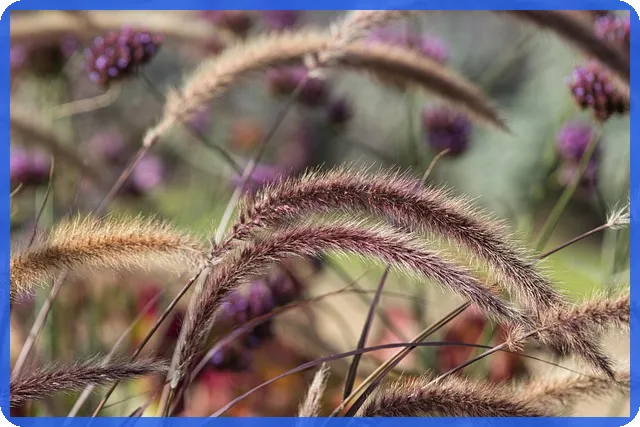 K뱅크주택담보대출 금리와 저렴한 조건은?