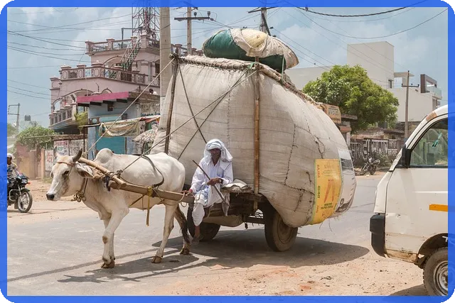 kb국민은행 대출상품 우대금리 항목 과 신차 판매 2024년 상반기 인기차는?