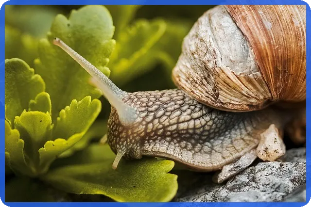 대출 연체 신용정보 등록의 영향은?